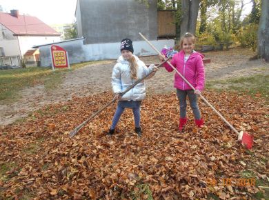 02_05_liscie
