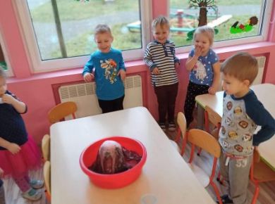 03_05_wulkan